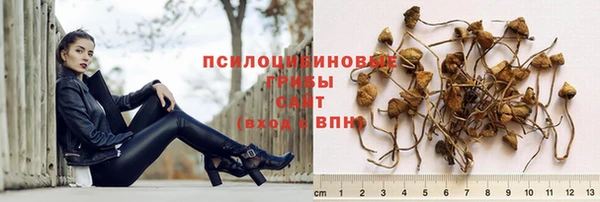 ECSTASY Балахна