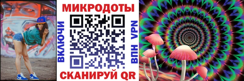 магазин продажи Красноуфимск Псилоцибиновые грибы Psilocybe